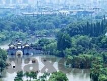 国产9麻豆剧果冻传媒-国产9麻豆剧果冻传媒，文化与艺术的交融