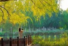 糖心app直播下载地址-关于糖心美界直播，寻找高清画质娱乐新天地的探索